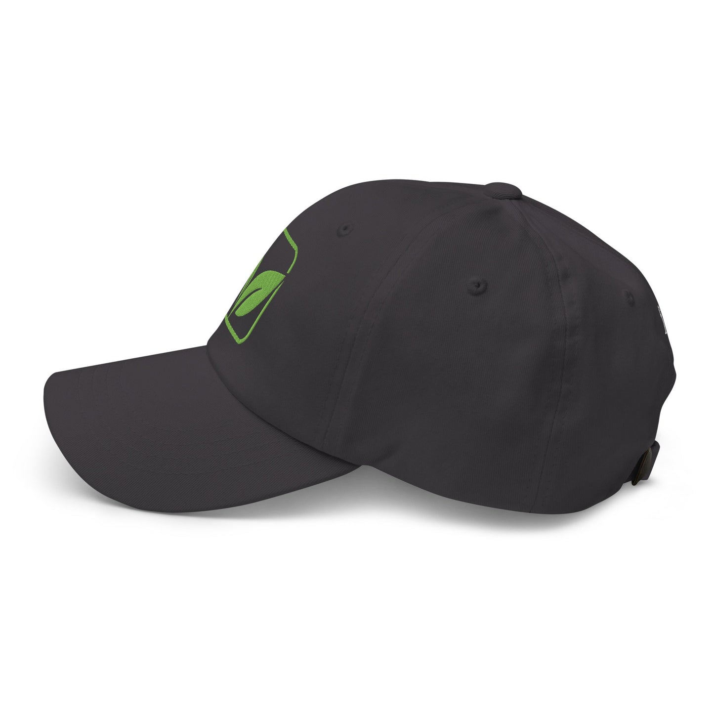 Stay Grounded ⏐ Embroidered Leaf Classic Dad Hat - f9artist