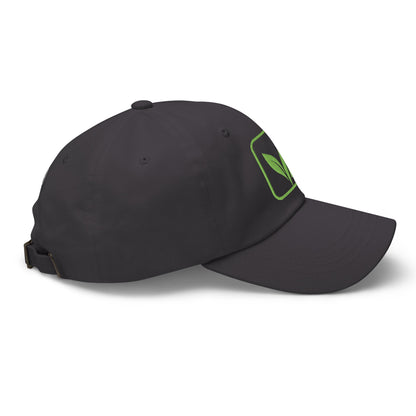 Stay Grounded ⏐ Embroidered Leaf Classic Dad Hat - f9artist
